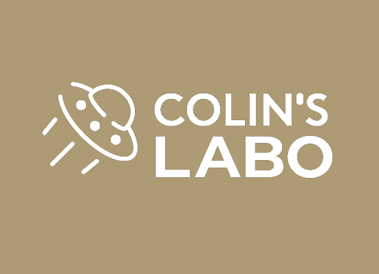 Transformation Numérique et Accessibilité Colin's Labo